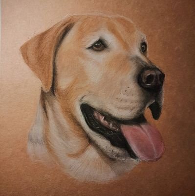 Pet Portrait artist! Commissions currently open through my ETSY