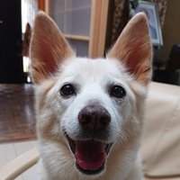 0-key (@0key4) 's Twitter Profile