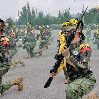 Rovimaza's profile picture. 🔖