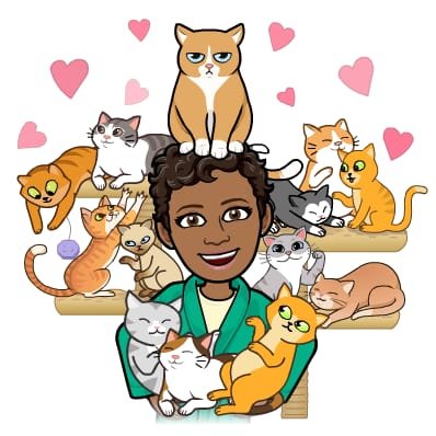 Me tornei o que mais temia e o resultado foi que AMEI! #maedegato