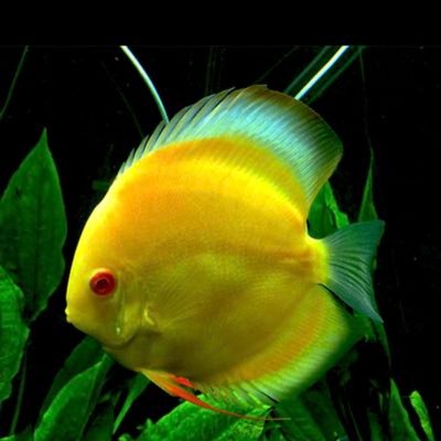 wm_anzora's profile picture. 