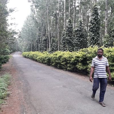 BaluVcm's profile picture. 