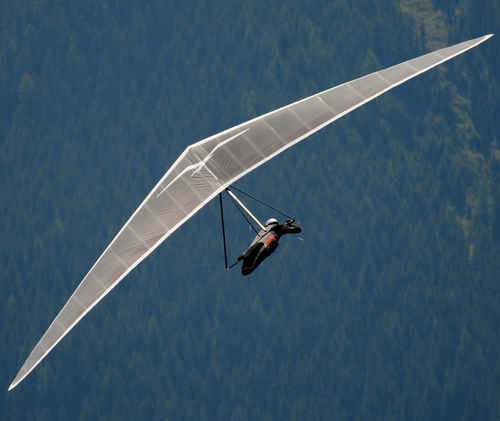 HGInsiderTweet's profile picture. 