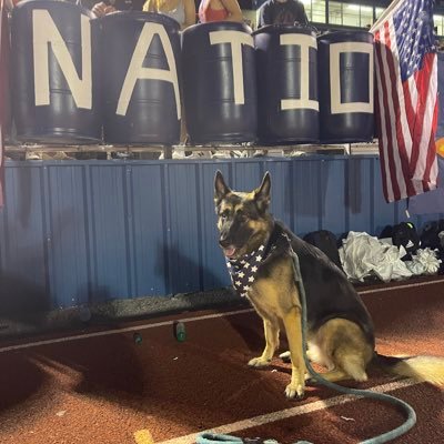 SiegelNovaStar's profile picture. 