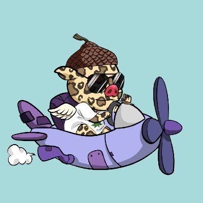 FlyingPigParade🐷さんのプロフィール画像