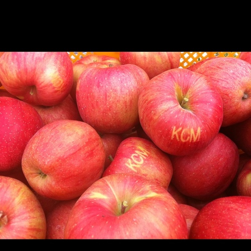 player_kcm's profile picture. 안녕하세요 KCM입니다 반가워요 ^^