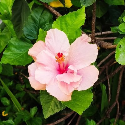 mirte212's profile picture. 