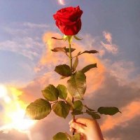 Ayman Badri (@aymanbadri3) 's Twitter Profile