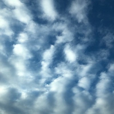 lovenatchan's profile picture. 