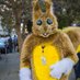 Sir Prowler Fluff Tail (@catprowler12) Twitter profile photo Sir Prowler Fluff Tail (@catprowler12) Twitter profile photo