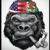dumb money (@amcgmestock) 's Twitter Profile Photo dumb money (@amcgmestock) 's Twitter Profile Photo