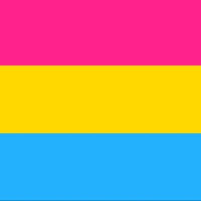 Twitter account that posts everything Pansexual! Sometimes posts about things happening in the LGBTQ+ community but mostly everything Pansexual.