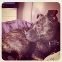 Abigail Bartell - @legendabs - Twitter