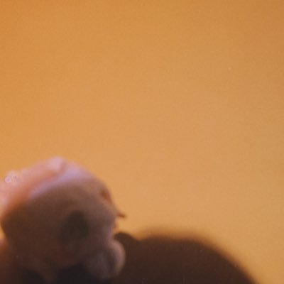 あさんのプロフィール画像