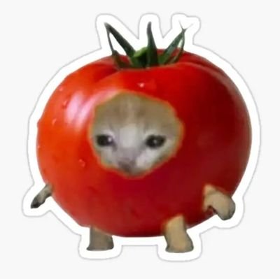 Havia una ves un tomate santiaguero, pálido,y en carencia de las vitaminas proporcionantes de ganas de quedarse en este país.