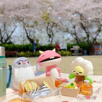 bsnamgu's profile picture. 