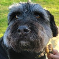 KiwiCrypto (@kiwicrypto7) 's Twitter Profile