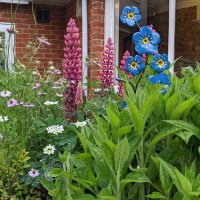 Dementia-friendly Alton (@demfriendsalton) 's Twitter Profile