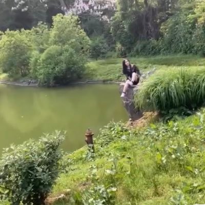 Starixl's profile picture. 🍕