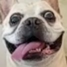 dan paladin (@danpaladin) 's Twitter Profile Photo dan paladin (@danpaladin) 's Twitter Profile Photo