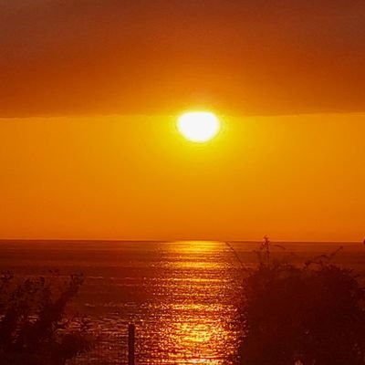 hayalnazderin's profile picture. Kul... kül