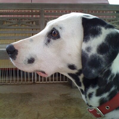 マッキー 市販の抗菌目薬を使っても３週間以上治らないものもらい のような瞼の腫れ やっと眼科行ってきたよ 原因は なりかけた時に間に合わせで半年前に使って余ってた目薬を使ったことによるものだって笑 ものもらい自体はとっくに治ってたみたい
