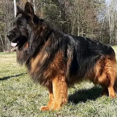 mike_rashida's profile picture. Because I got the best and qulety goods