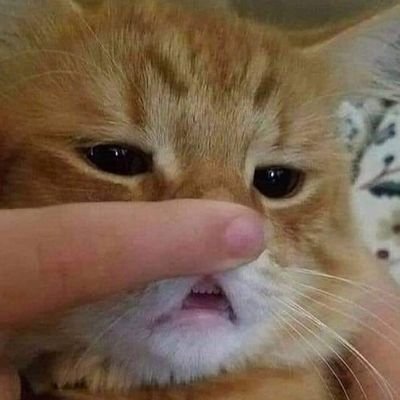 ch3rryc4k3's profile picture. 사랑한다고 말할 수밖에 없는 얼굴이었다.