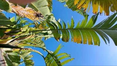 Funky_Raph06's profile picture. 