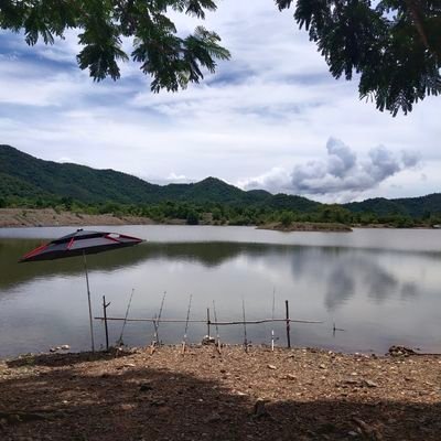 Singlemode123's profile picture. 