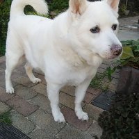 antomo (@scjsodnztbfqcio) Twitter profile photo