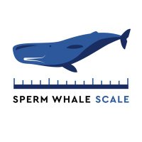 Sperm Whale Scale(@SpermWhaleScale) 's Twitter Profile Photo