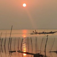 Madhavi. K 🍂🍁🌼 (@madhavik2) 's Twitter Profile Photo Madhavi. K 🍂🍁🌼 (@madhavik2) 's Twitter Profile Photo