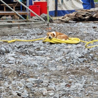 mech1342's profile picture. I'm just a kid and life is a nightmare