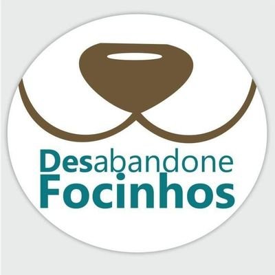 Desabandone Focinhos Profile