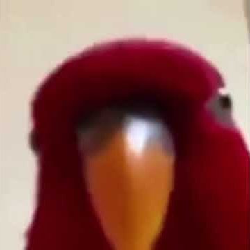 clx_adrien's profile picture. fc buvette