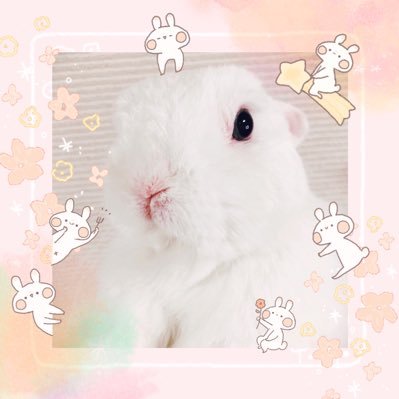 NOZOMIさんのプロフィール画像