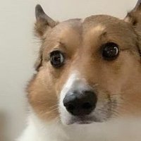 09 (@09_2sekai) 's Twitter Profile