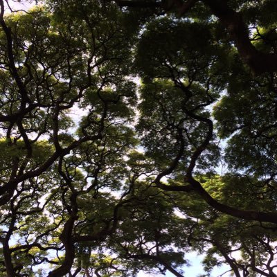 oranchan11092's profile picture. ランジャタイ マユリカうなげろりん☺︎あまりにも沼にハマり過ぎている 無言フォロー失礼致します☺︎