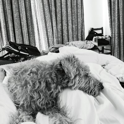 janine_ellul's profile picture. Woman, trying to live a life filled with metta. All Views are All mine( ◜‿◝ )♡