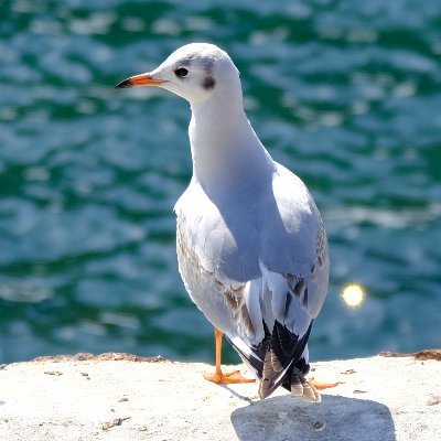 konchatrip's profile picture. 旅と街とたてもの