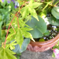 ながです。 (@naga_kirie) Twitter profile photo