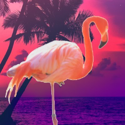 𝙠𝙮𝙤𝙖 Profile