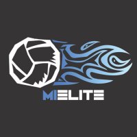 Michigan Elite Volleyball(@MIEliteVB) 's Twitter Profile Photo