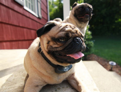 ScottNews12's profile picture. 