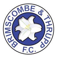 Brimscombe & Thrupp FC (@btfcthemeadow) 's Twitter Profile Photo Brimscombe & Thrupp FC (@btfcthemeadow) 's Twitter Profile Photo