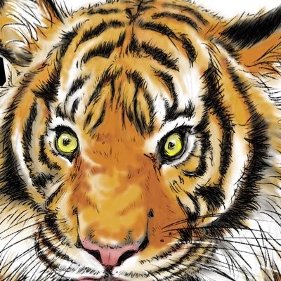 ryogtomo's profile picture. 