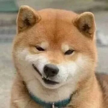 nishuowoshishe1's profile picture. 