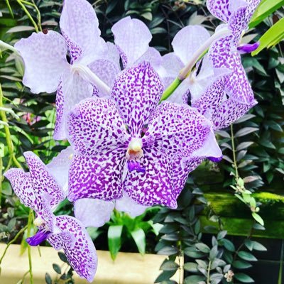 TravelReadGrow's profile picture. Making Memories