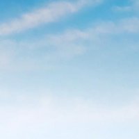 Elif (@elifferkmen) Twitter profile photo